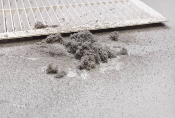 Best Dryer Vent Cleaning Services  in Stuart, VA