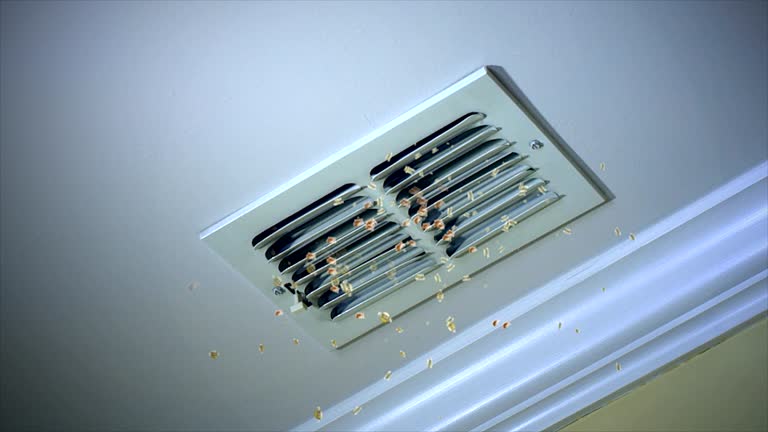 Best Professional Duct Cleaning Services  in Stuart, VA
